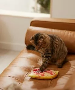 Frisco Fan Plush Squeaky Dog Toy -The Frisco Store 298911 PT3. SY630 V1640269039