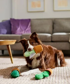 Frisco Cactus Plush Squeaky Dog Toy, 3 count -The Frisco Store 298921 PT3. SY630 V1638987259