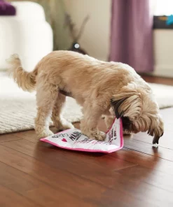 Frisco Valentine MASH Flat Plush Squeaky Dog Toy -The Frisco Store 298927 PT3. SY630 V1638987702