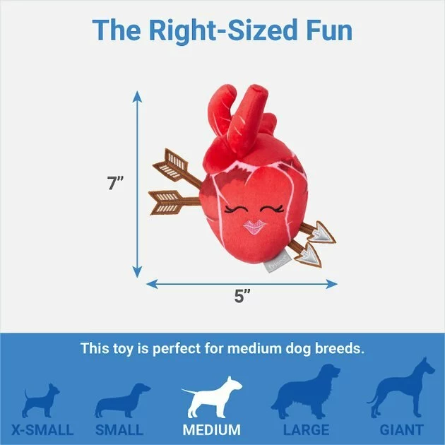Frisco Anatomical Heart Plush Squeaky Dog Toy 4 Frisco Anatomical Heart Plush Squeaky Dog Toy - Image 2