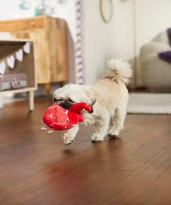 Frisco Anatomical Heart Plush Squeaky Dog Toy 7 Frisco Anatomical Heart Plush Squeaky Dog Toy -The Frisco Store 298933 PT3. SY630 V1638987632