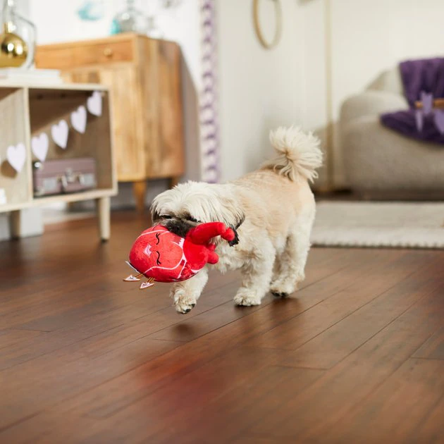 Frisco Anatomical Heart Plush Squeaky Dog Toy 5 Frisco Anatomical Heart Plush Squeaky Dog Toy - Image 3