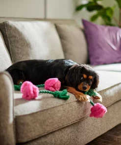 Frisco Roses Plush with Rope Squeaky Dog Toy, 3 count -The Frisco Store 298939 PT3. SY630 V1638987402