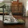 Frisco Wire Small Pet House Shaped Cage -The Frisco Store 301428 MAIN. SY630 V1633378342