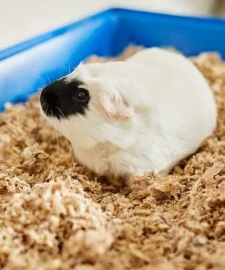 Frisco Corner Litter Box, Navy, Small + Small Animal Bedding, Natural -The Frisco Store 301910 PT8. SY630 V1644965804