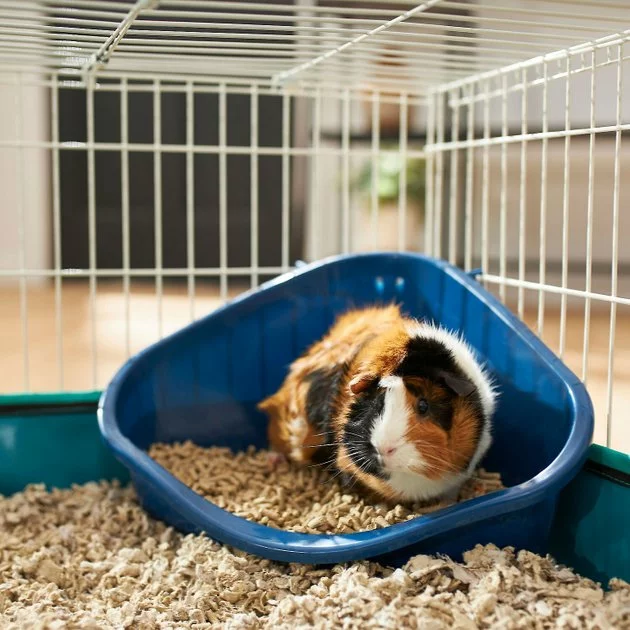 Frisco Corner Litter Box, Navy, Small + Small Animal Bedding, White 6 Frisco Corner Litter Box, Navy, Small + Small Animal Bedding, White - Image 4