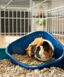 Frisco Corner Litter Box, Navy, X-Small + Small Animal Bedding, Natural 14 Frisco Corner Litter Box, Navy, X-Small + Small Animal Bedding, Natural -The Frisco Store 301916 PT3. SY630 V1644971631