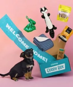 Goody Box||Frisco Goody Box Puppy Toys, Treats & Potty Training + Frisco Extra Large Training & Potty Pads, 28 x 34-in 17 Goody Box||Frisco Goody Box Puppy Toys, Treats & Potty Training + Frisco Extra Large Training & Potty Pads, 28 x 34-in -The Frisco Store 301946 PT6. SY630 V1657656678