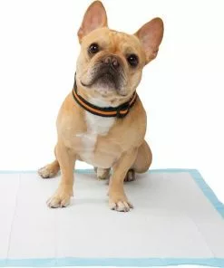 Goody Box||Frisco Goody Box Puppy Toys, Treats & Potty Training + Frisco Training & Potty Pads, 22 x 23-in -The Frisco Store 301960 PT8. SY630 V1631298435