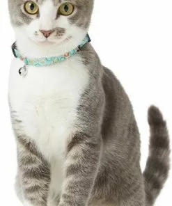 Goody Box||Frisco Goody Box Kitten Toys & Treats + Frisco Multi-Cat Unscented Clumping Clay Cat Litter 15 Goody Box||Frisco Goody Box Kitten Toys & Treats + Frisco Multi-Cat Unscented Clumping Clay Cat Litter -The Frisco Store 301962 PT4. SY630 V1622824042