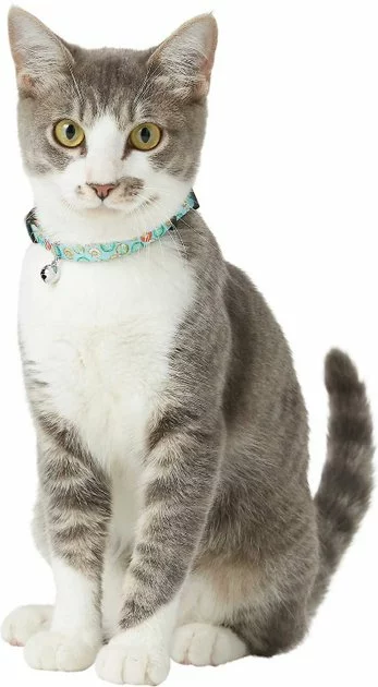 Goody Box||Frisco Goody Box Kitten Toys & Treats + Frisco Multi-Cat Unscented Clumping Clay Cat Litter 7 Goody Box||Frisco Goody Box Kitten Toys & Treats + Frisco Multi-Cat Unscented Clumping Clay Cat Litter - Image 5