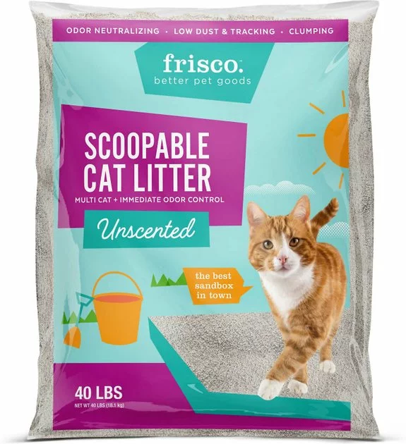 Goody Box||Frisco Goody Box Kitten Toys & Treats + Frisco Multi-Cat Unscented Clumping Clay Cat Litter 9 Goody Box||Frisco Goody Box Kitten Toys & Treats + Frisco Multi-Cat Unscented Clumping Clay Cat Litter - Image 7