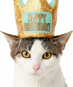 Frisco Birthday Bandana, X-Small/Small + Dog & Cat Crown, X-Small/Small -The Frisco Store 302372 PT4. SY630 V1633061817