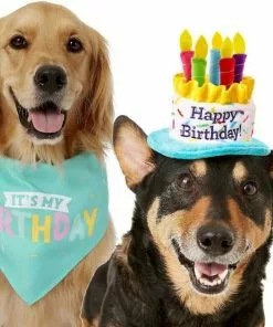 Frisco Birthday B&ana, X-Small/Small + Dog & Cat Hat, X-Small/Small 13 Frisco Birthday B&ana, X-Small/Small + Dog & Cat Hat, X-Small/Small -The Frisco Store 302374 PT2. SY630 V1633061815