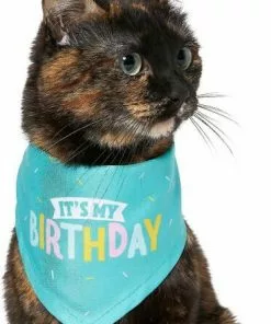 Frisco Birthday B&ana, X-Small/Small + Dog & Cat Hat, X-Small/Small 14 Frisco Birthday B&ana, X-Small/Small + Dog & Cat Hat, X-Small/Small -The Frisco Store 302374 PT3. SY630 V1633076486