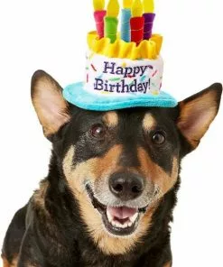 Frisco Birthday B&ana, X-Small/Small + Dog & Cat Hat, X-Small/Small 15 Frisco Birthday B&ana, X-Small/Small + Dog & Cat Hat, X-Small/Small -The Frisco Store 302374 PT4. SY630 V1633078001