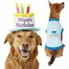 Frisco Birthday Cake Hat, Medium/Large + Dog & Cat T-Shirt, Blue -The Frisco Store 302376 MAIN. SY630 V1623052351