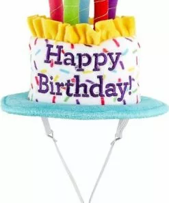 Frisco Birthday Cake Hat, Medium/Large + Dog & Cat T-Shirt, Blue -The Frisco Store 302376 PT2. SY630 V1623058044