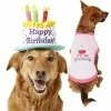 Frisco Birthday Cake Hat, Medium/Large + Dog & Cat T-Shirt, Pink -The Frisco Store 302384 MAIN. SY630 V1623062548