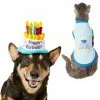 Frisco Birthday Cake Hat, X-Small/Small + Dog & Cat T-Shirt, Blue -The Frisco Store 302392 MAIN. SY630 V1623079046