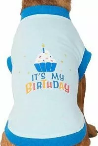 Frisco Birthday Cake Hat, X-Small/Small + Dog & Cat T-Shirt, Blue -The Frisco Store 302392 PT5. SY630 V1623050245