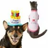 Frisco Birthday Cake Hat, X-Small/Small + Dog & Cat T-Shirt, Pink -The Frisco Store 302396 MAIN. SY630 V1623088054