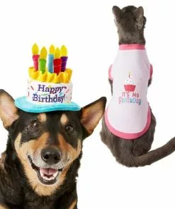 Frisco Birthday Cake Hat, X-Small/Small + Dog & Cat T-Shirt, Pink