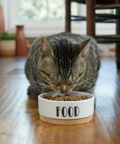 Frisco Ceramic Dog & Cat Water + Food Bowl with Wood Base 17 Frisco Ceramic Dog & Cat Water + Food Bowl with Wood Base -The Frisco Store 302414 PT7. SY630 V1623075756