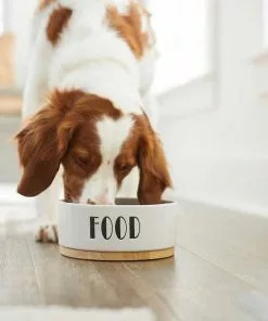 Frisco Ceramic Dog Bowl with Wood Base, 2.5 Cups + Treat Jar, 4 Cups 15 Frisco Ceramic Dog Bowl with Wood Base, 2.5 Cups + Treat Jar, 4 Cups -The Frisco Store 302418 PT4. SY630 V1623088650