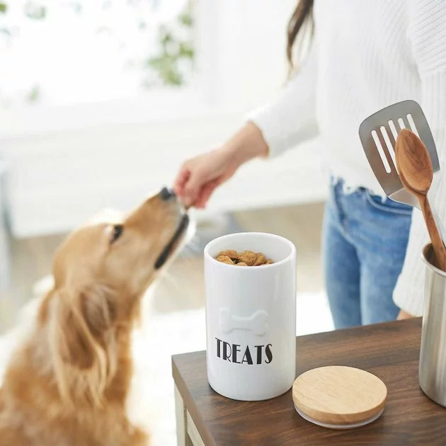 Frisco Ceramic Dog Bowl with Wood Base, 2.5 Cups + Treat Jar, 4 Cups 11 Frisco Ceramic Dog Bowl with Wood Base, 2.5 Cups + Treat Jar, 4 Cups - Image 9