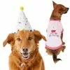 Frisco Confetti Birthday Hat, Medium/Large + Dog & Cat T-Shirt, Pink