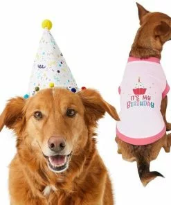 Frisco Confetti Birthday Hat, Medium/Large + Dog & Cat T-Shirt, Pink