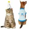 Frisco Confetti Birthday Hat, Small/Medium + Dog & Cat T-Shirt, Blue -The Frisco Store 302442 MAIN. SY630 V1623087479