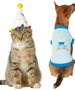 Frisco Confetti Birthday Hat, Small/Medium + Dog & Cat T-Shirt, Blue