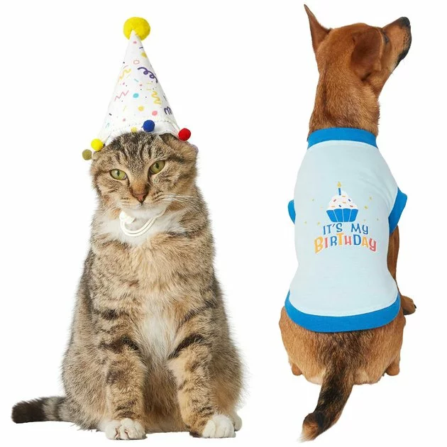 Frisco Confetti Birthday Hat, Small/Medium + Dog & Cat T-Shirt, Blue 3 Frisco Confetti Birthday Hat, Small/Medium + Dog & Cat T-Shirt, Blue