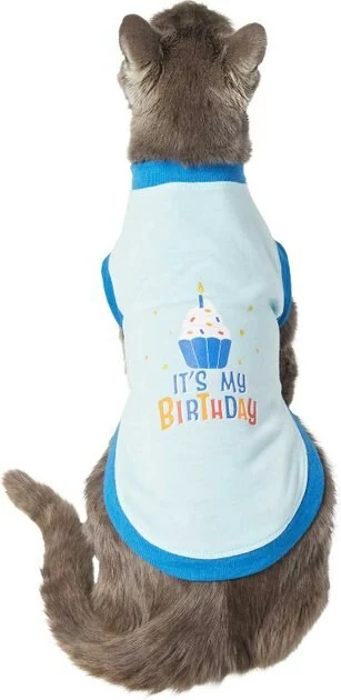 Frisco Confetti Birthday Hat, Small/Medium + Dog & Cat T-Shirt, Blue 8 Frisco Confetti Birthday Hat, Small/Medium + Dog & Cat T-Shirt, Blue - Image 6