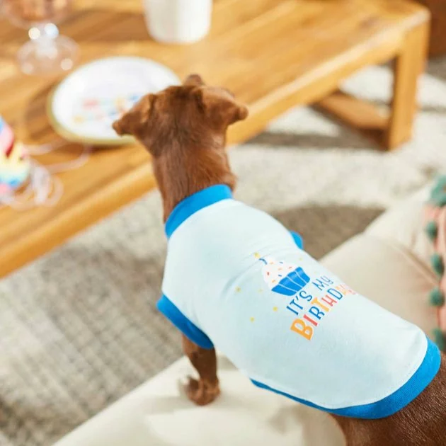 Frisco Confetti Birthday Hat, Small/Medium + Dog & Cat T-Shirt, Blue 10 Frisco Confetti Birthday Hat, Small/Medium + Dog & Cat T-Shirt, Blue - Image 8