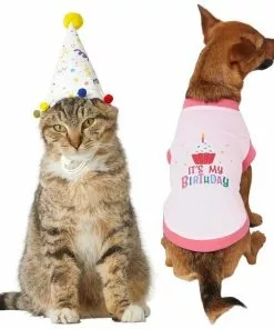 Frisco Confetti Birthday Hat, Small/Medium + Dog & Cat T-Shirt, Pink