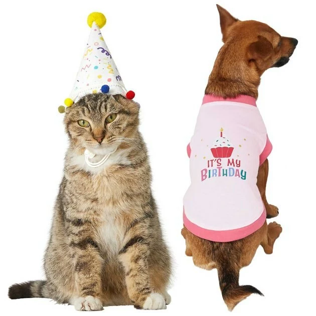 Frisco Confetti Birthday Hat, Small/Medium + Dog & Cat T-Shirt, Pink 3 Frisco Confetti Birthday Hat, Small/Medium + Dog & Cat T-Shirt, Pink