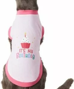 Frisco Confetti Birthday Hat, Small/Medium + Dog & Cat T-Shirt, Pink 16 Frisco Confetti Birthday Hat, Small/Medium + Dog & Cat T-Shirt, Pink -The Frisco Store 302446 PT5. SY630 V1623038847