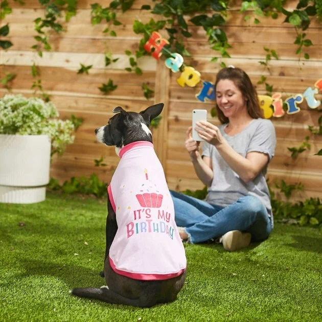 Frisco Happy Birthday Crown, Medium/Large + Dog & Cat T-Shirt, Pink 10 Frisco Happy Birthday Crown, Medium/Large + Dog & Cat T-Shirt, Pink - Image 8