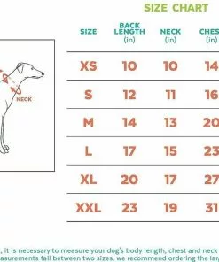 Frisco Happy Birthday Crown, Medium/Large + Dog & Cat T-Shirt, Pink 19 Frisco Happy Birthday Crown, Medium/Large + Dog & Cat T-Shirt, Pink -The Frisco Store 302462 PT8. SY630 V1623091660