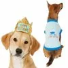 Frisco Happy Birthday Crown, X-Small/Small + Dog & Cat T-Shirt, Blue 1 Frisco Happy Birthday Crown, X-Small/Small + Dog & Cat T-Shirt, Blue -The Frisco Store 302470 MAIN. SY630 V1623076950