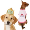 Frisco Happy Birthday Crown, X-Small/Small + Dog & Cat T-Shirt, Pink -The Frisco Store 302474 MAIN. SY630 V1623048746