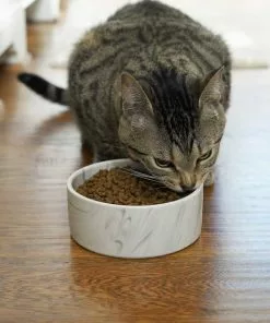 Frisco Marble Design Non-skid Ceramic Dog Bowl + Treat Jar with Wood Lid, 3.75 Cups -The Frisco Store 302482 PT4. SY630 V1623034666