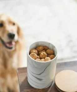 Frisco Marble Design Non-skid Ceramic Dog Bowl + Treat Jar with Wood Lid, 3.75 Cups -The Frisco Store 302482 PT8. SY630 V1623037650