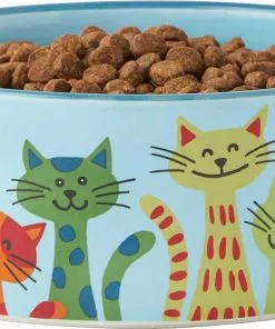 Frisco New York Non-skid Ceramic Dish, 0.50 Cup + Cat Bowl, 1.50 Cups -The Frisco Store 302488 PT6. SY630 V1623041543