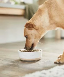 Frisco Silicone Food Mat, Gray, Large + Bones Non-skid Ceramic Dog Bowl 19 Frisco Silicone Food Mat, Gray, Large + Bones Non-skid Ceramic Dog Bowl -The Frisco Store 302516 PT8. SY630 V1623070060