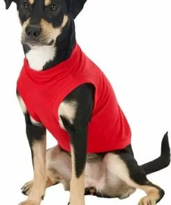 Frisco Basic T-Shirt, Red + Dog & Cat Hoodie, Red 15 Frisco Basic T-Shirt, Red + Dog & Cat Hoodie, Red -The Frisco Store 302662 PT4. SY630 V1633128173