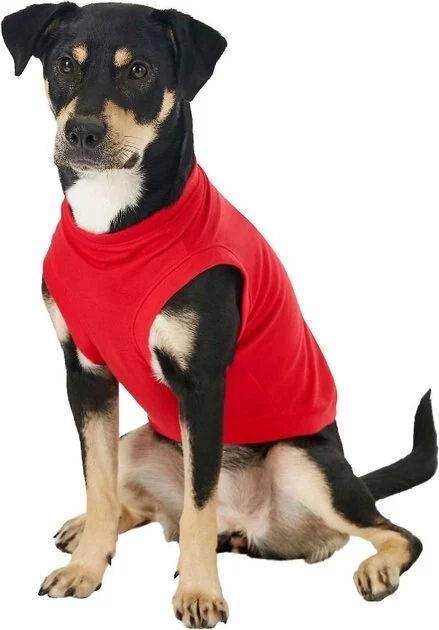 Frisco Basic T-Shirt, Red + Dog & Cat Hoodie, Red 7 Frisco Basic T-Shirt, Red + Dog & Cat Hoodie, Red - Image 5